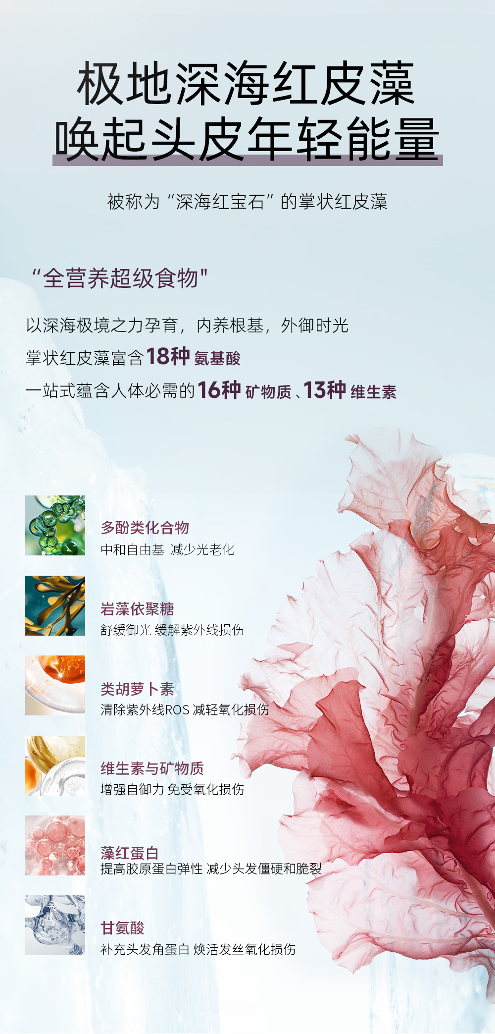 洗发水_10.jpg