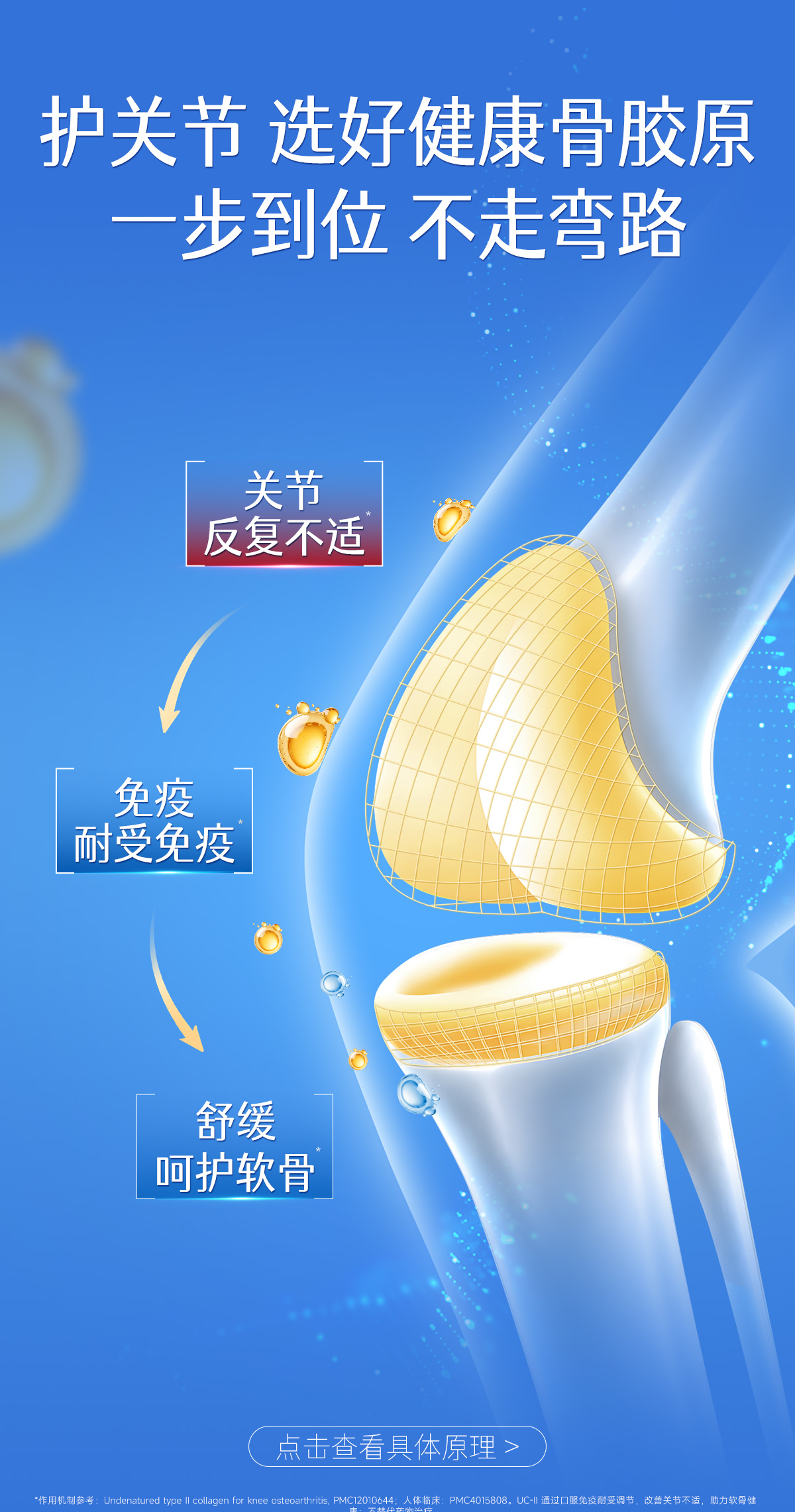 骨胶原脱敏_04.jpg