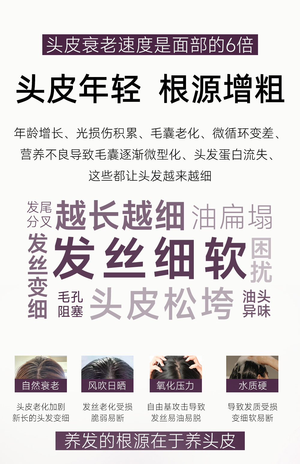 洗发水_08.jpg