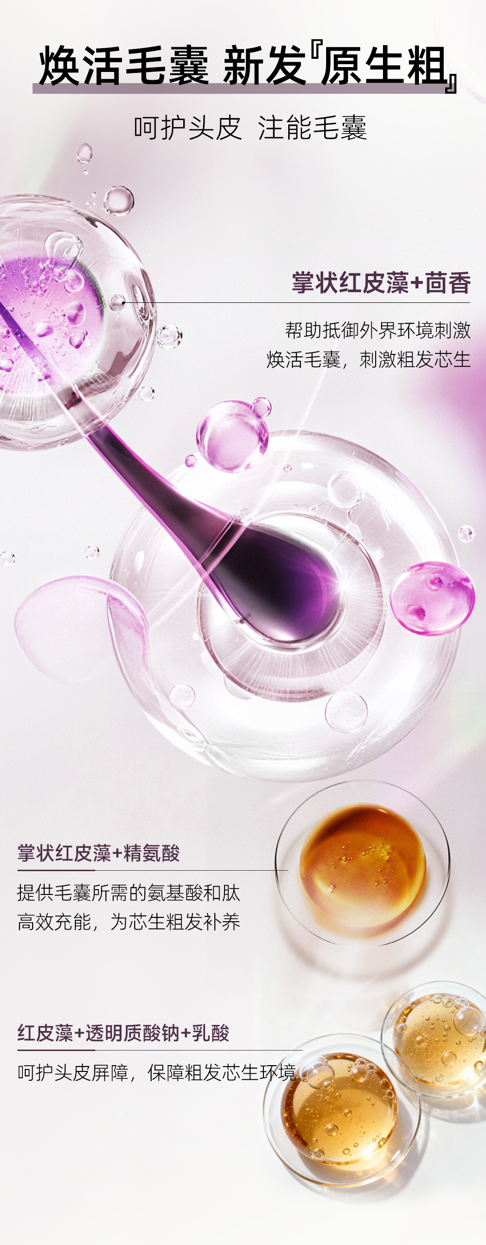 洗发水_09.jpg