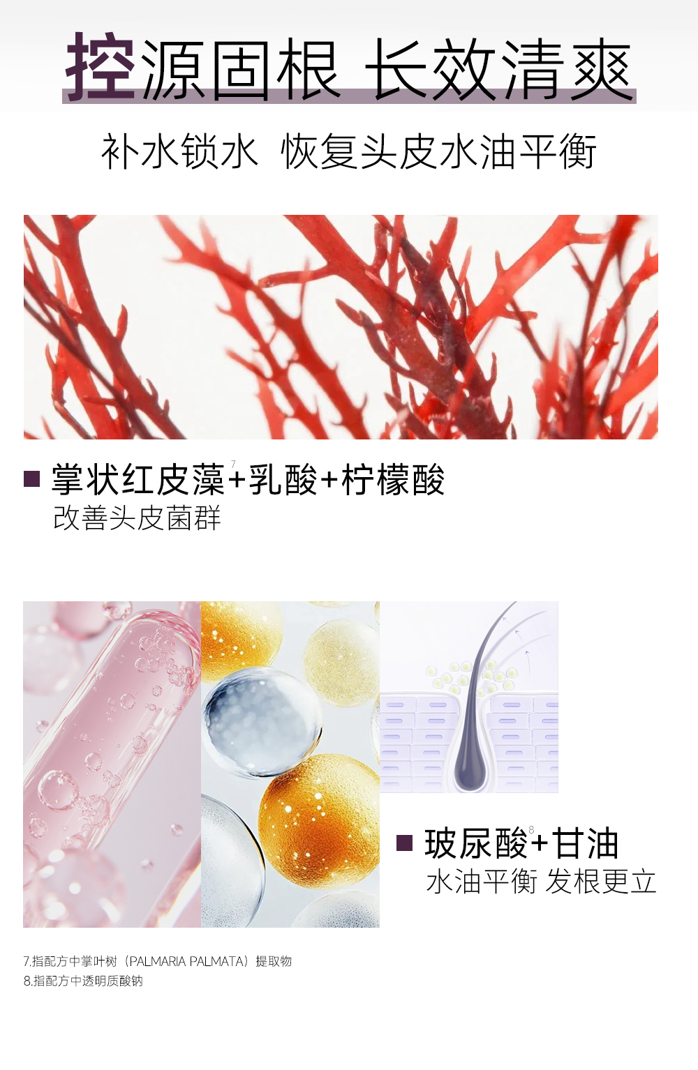 洗发水_12.jpg
