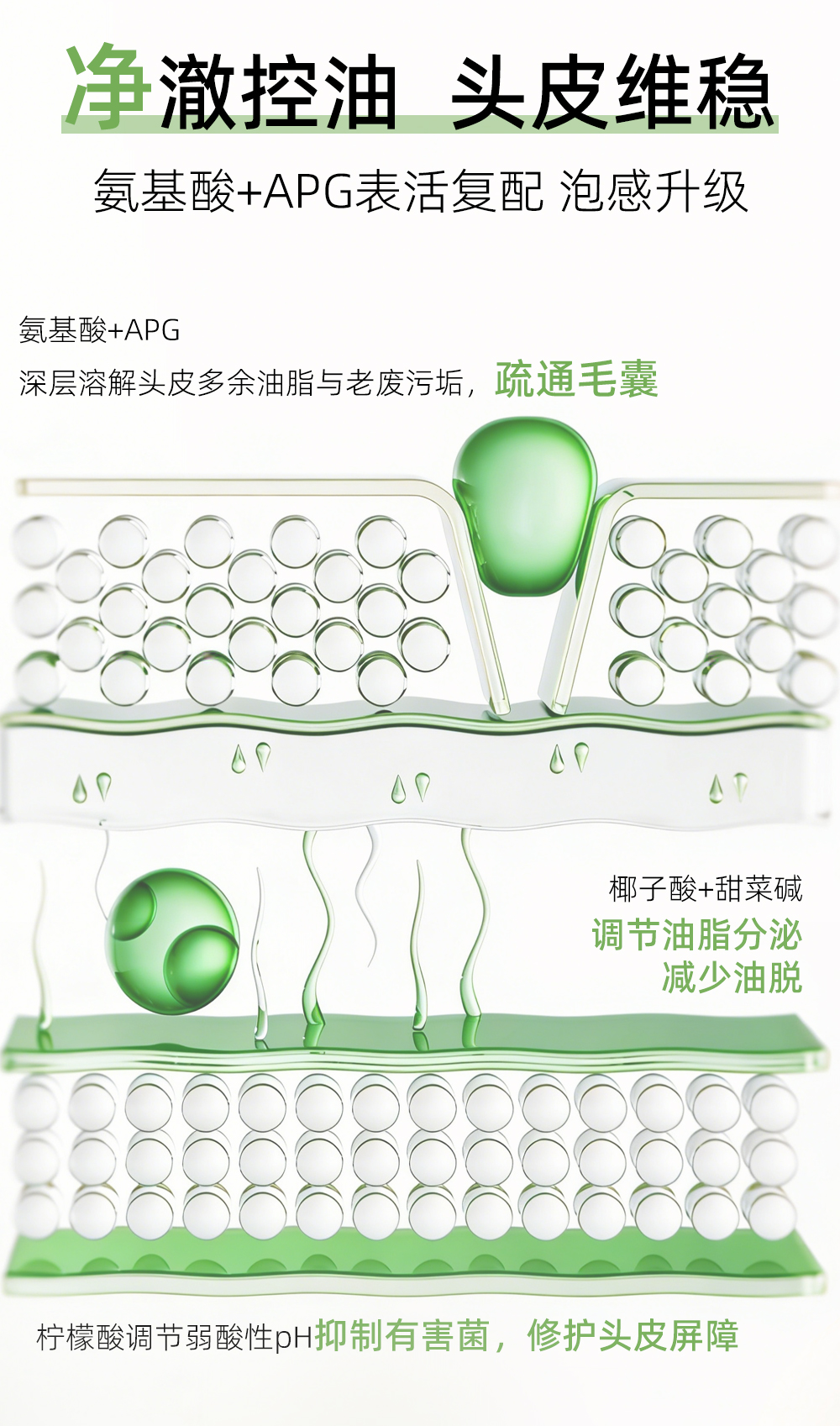 生发洗发水_05.jpg