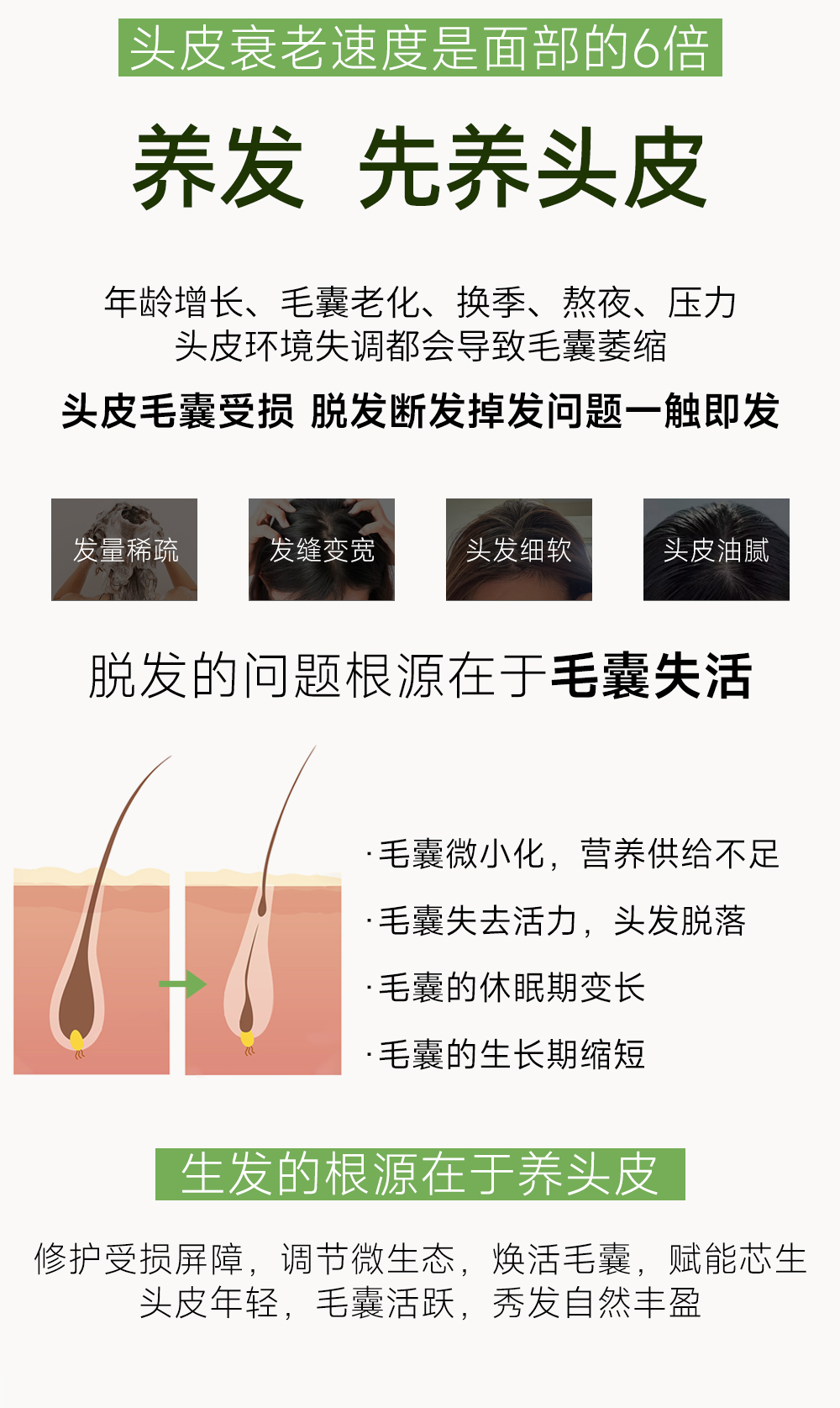 生发洗发水_03.jpg