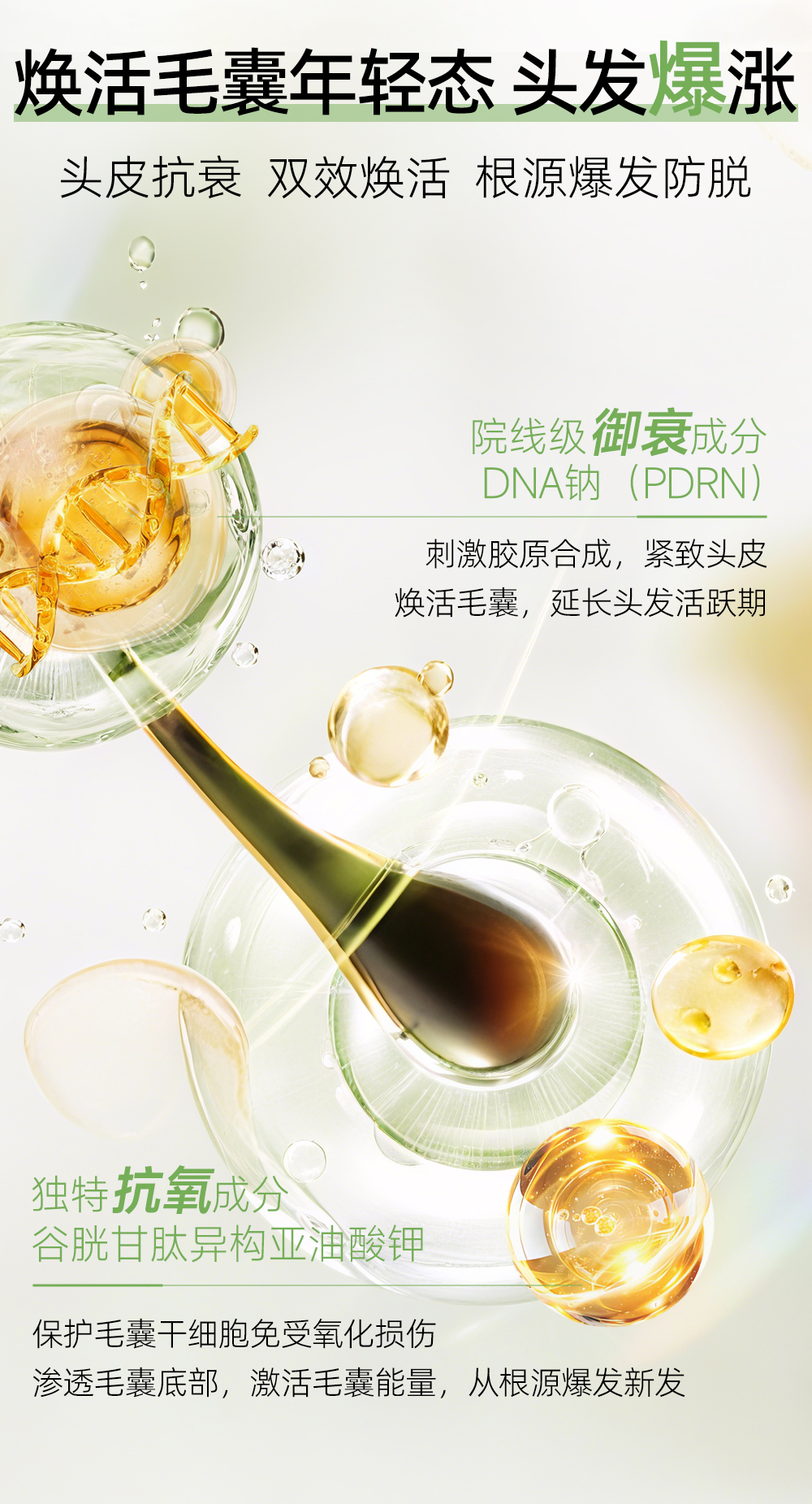生发洗发水_06.jpg