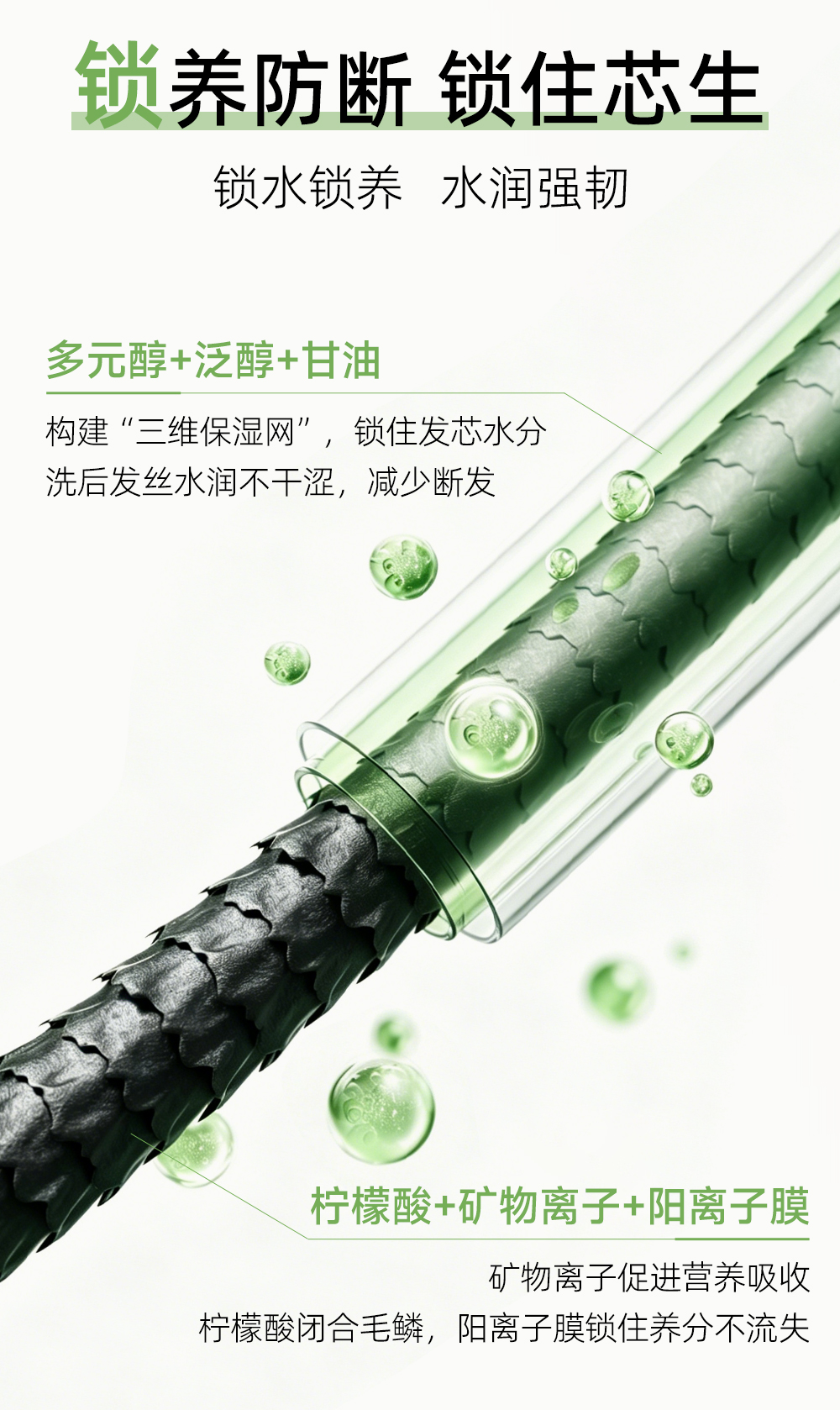 生发洗发水_08.jpg