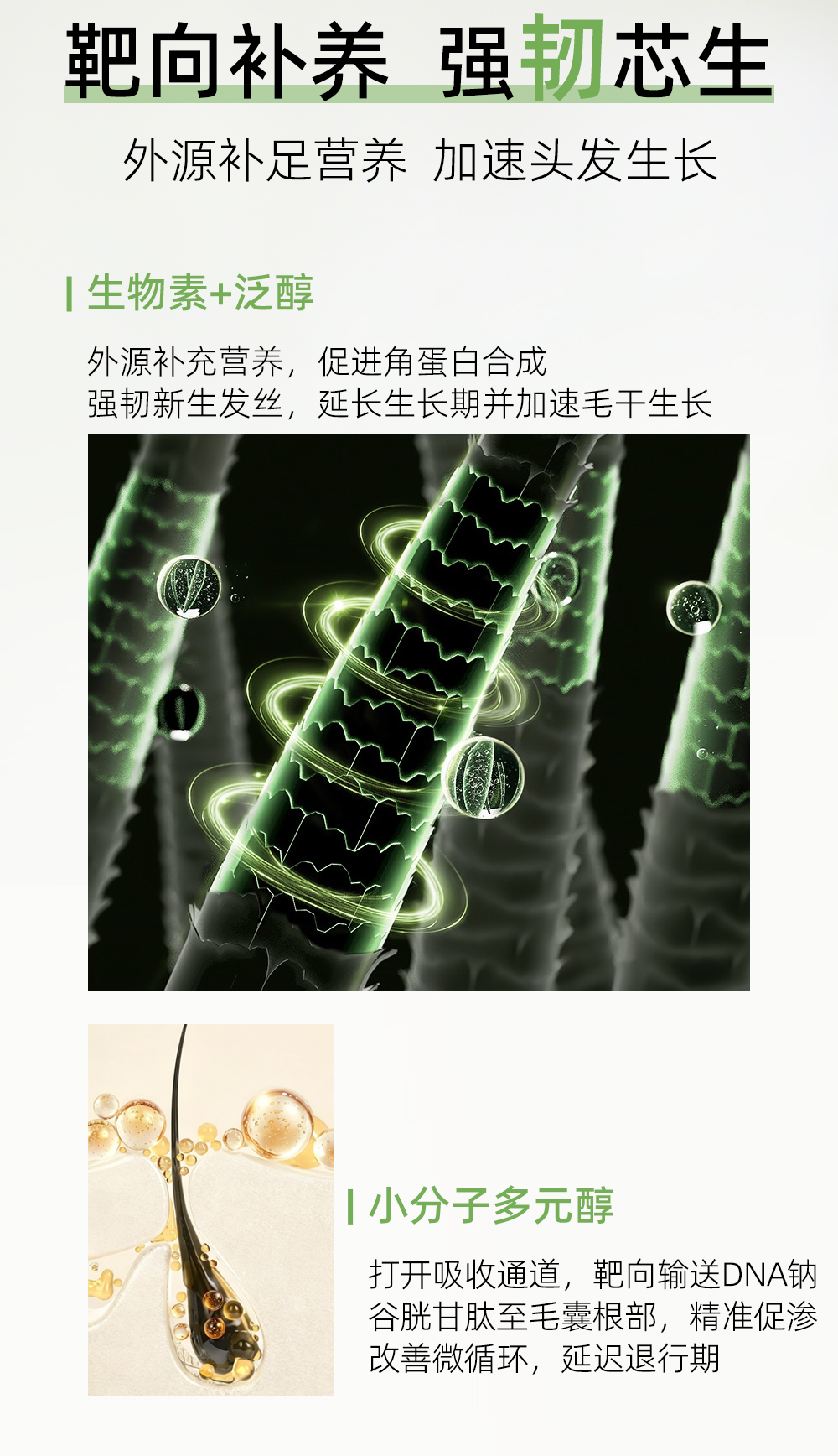 生发洗发水_07.jpg