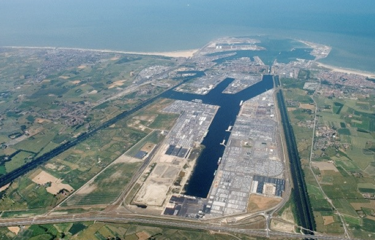 190948036aaq.png 1.png