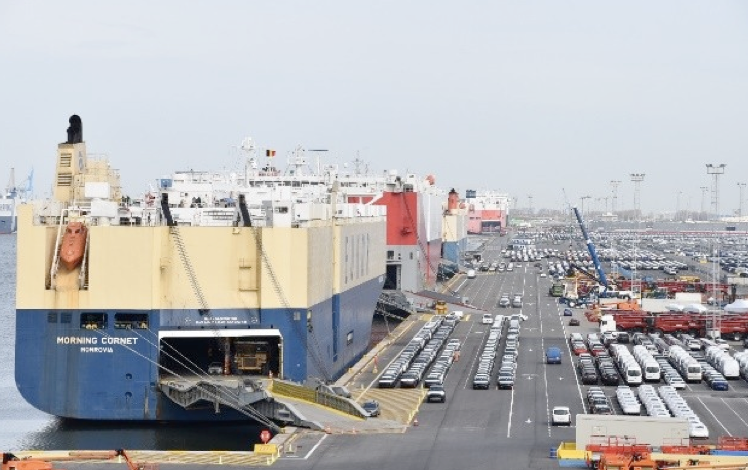 19094820h5nt.png 2.png