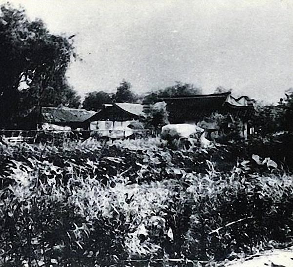 221-2.jpg