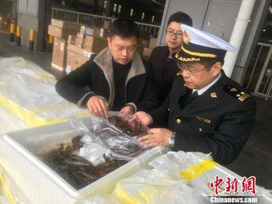 成都海关.jpg