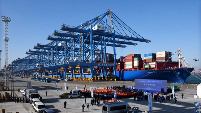 16162928wla9.jpg 2.jpg