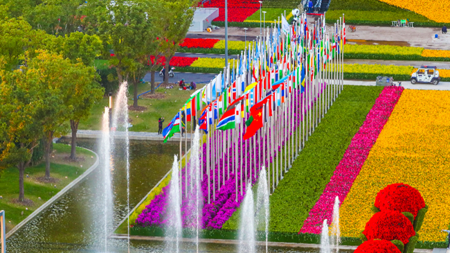 31170526c1bk.png 5.png