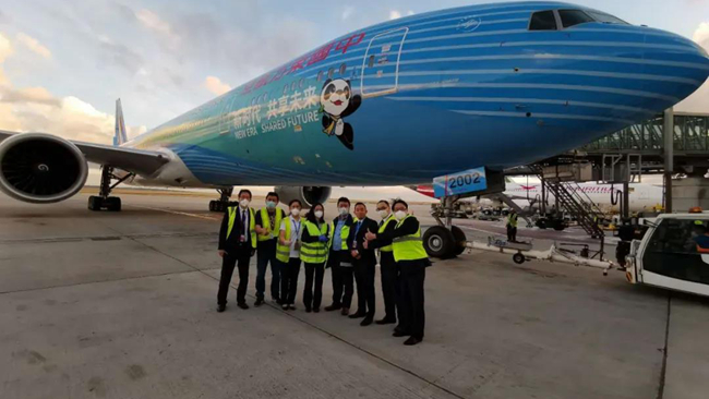 080919169lfd.jpg 2.jpg