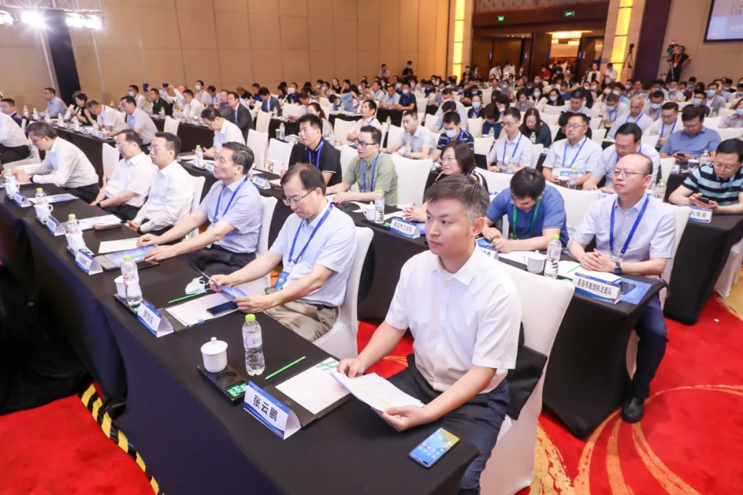 07104338mojv.jpg 6.webp.jpg