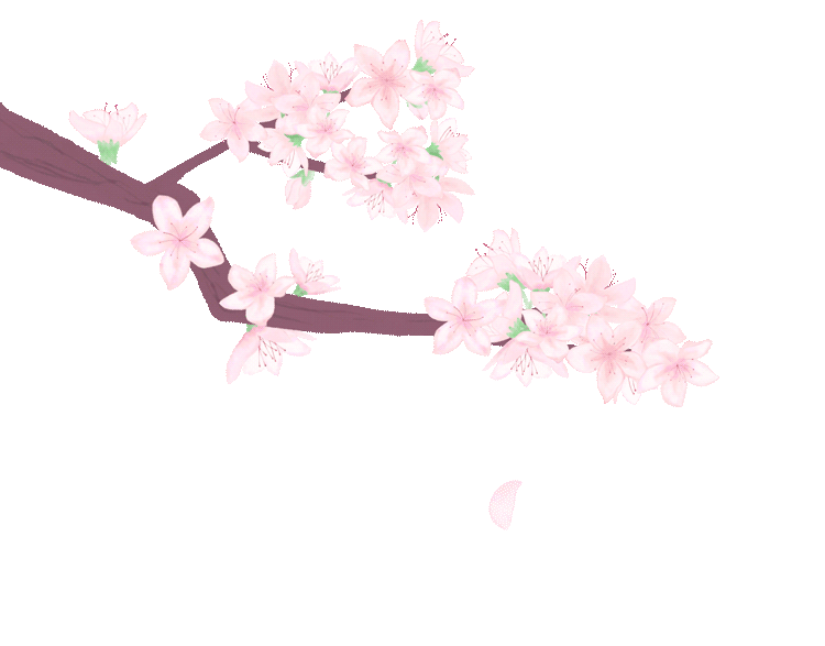 01.gif