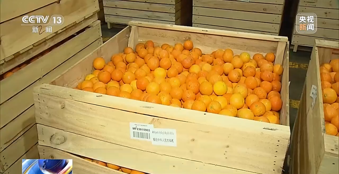 10140649mvv5.png 4.png