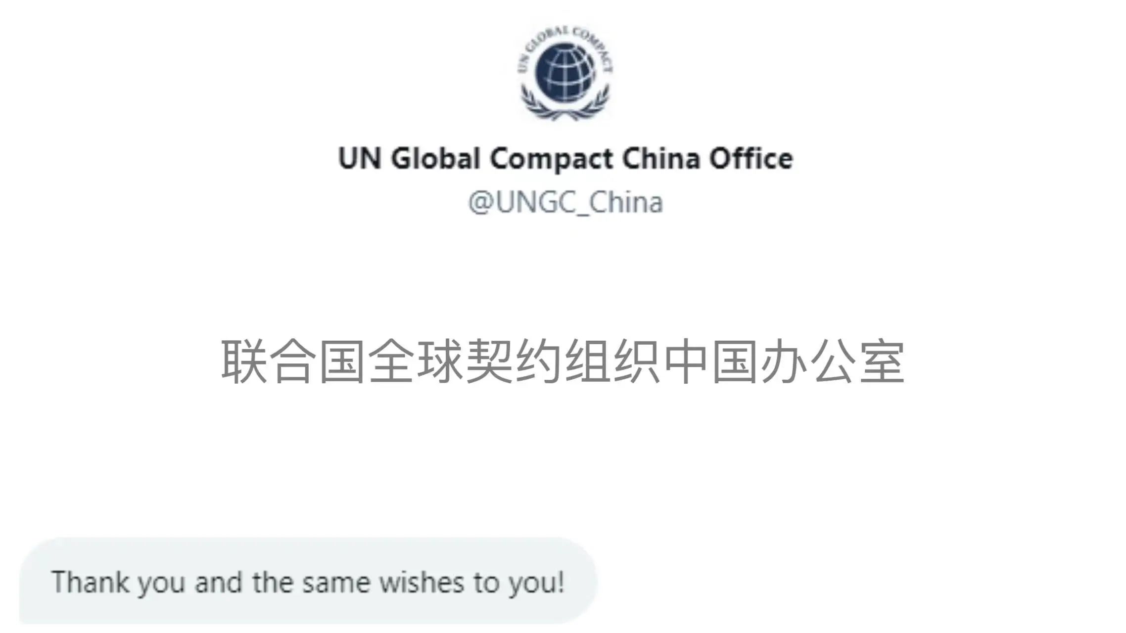 26101201y6sp.jpg 8.jpg