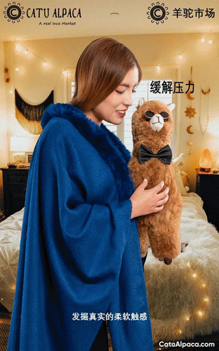 5.gif