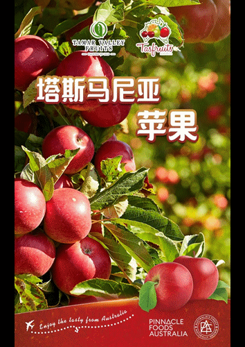 4.gif