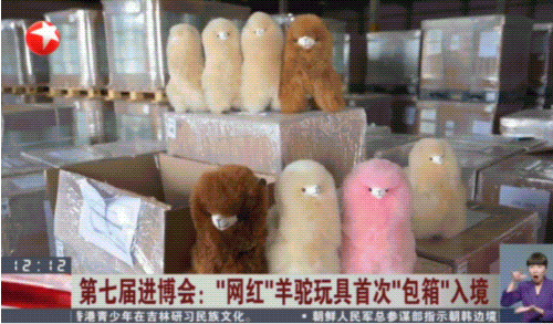 未命名.gif