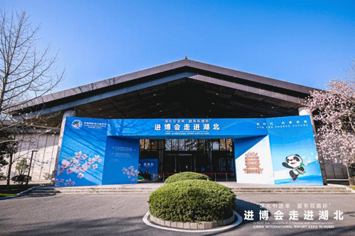 CIIE regional event promotes foreign investment in Central China