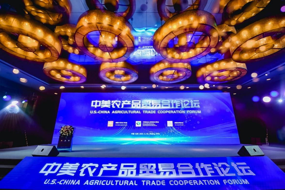 031111326yz0.png 1.png