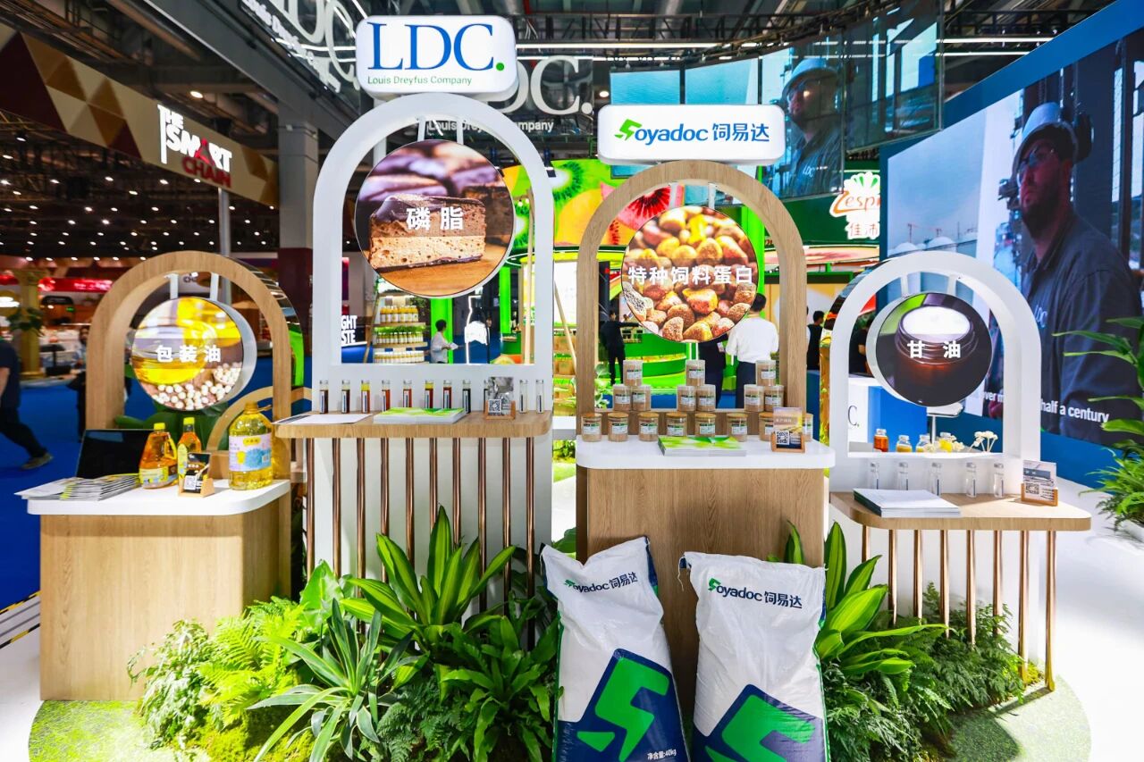 11155059n1w1.jpg 2.jpg