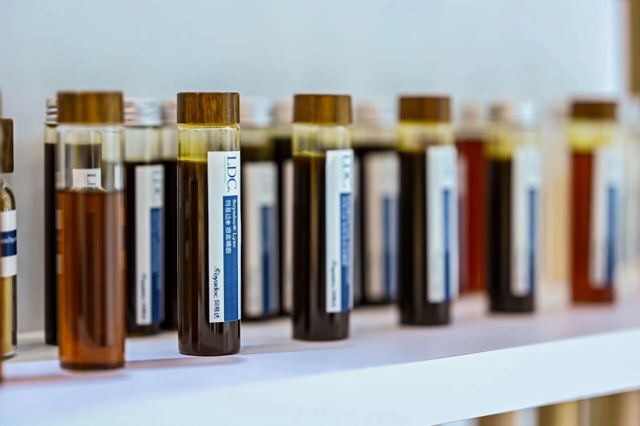 11155112rdnf.jpg 3.jpg