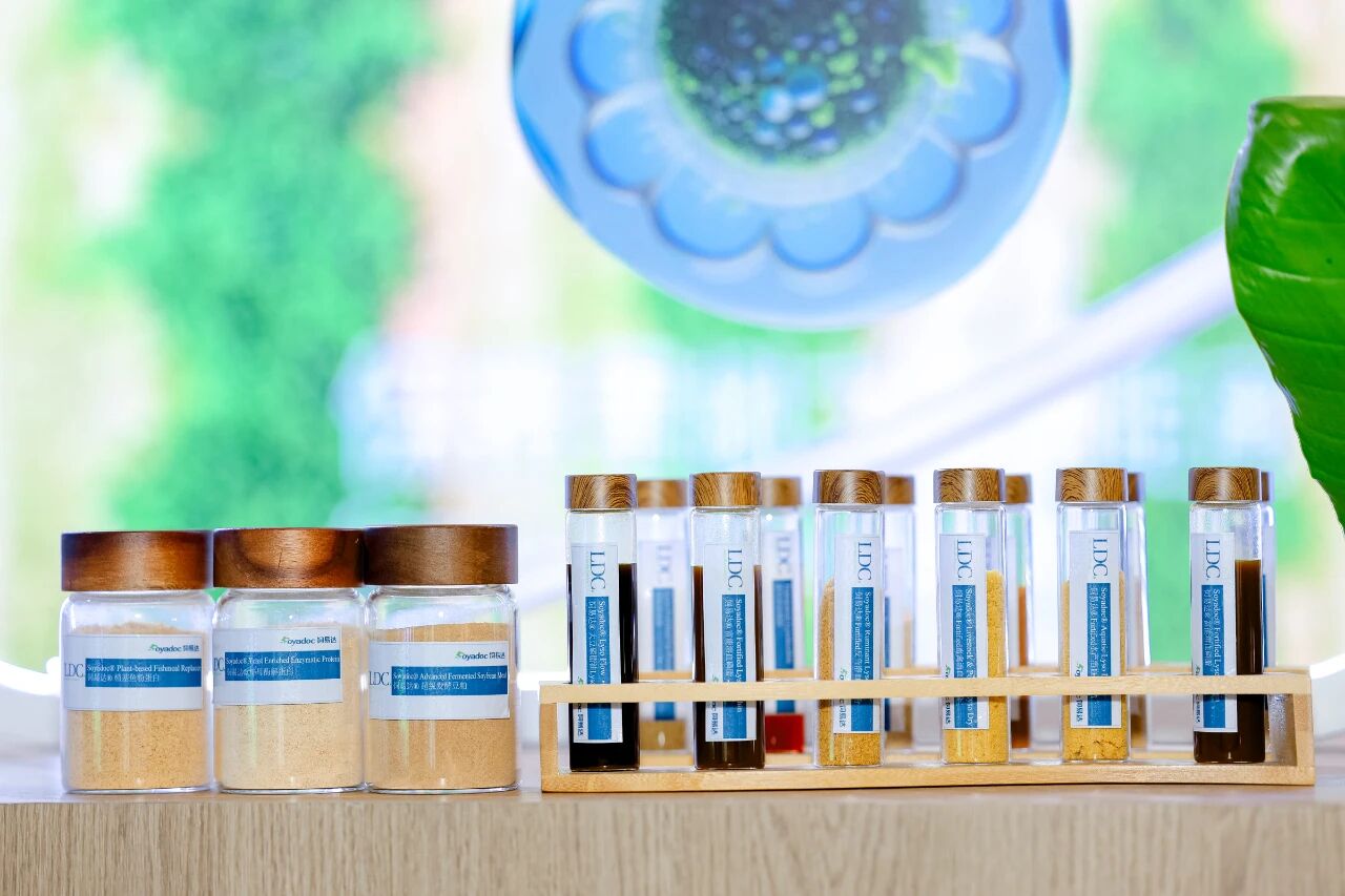 11155134z9zp.jpg 4.jpg