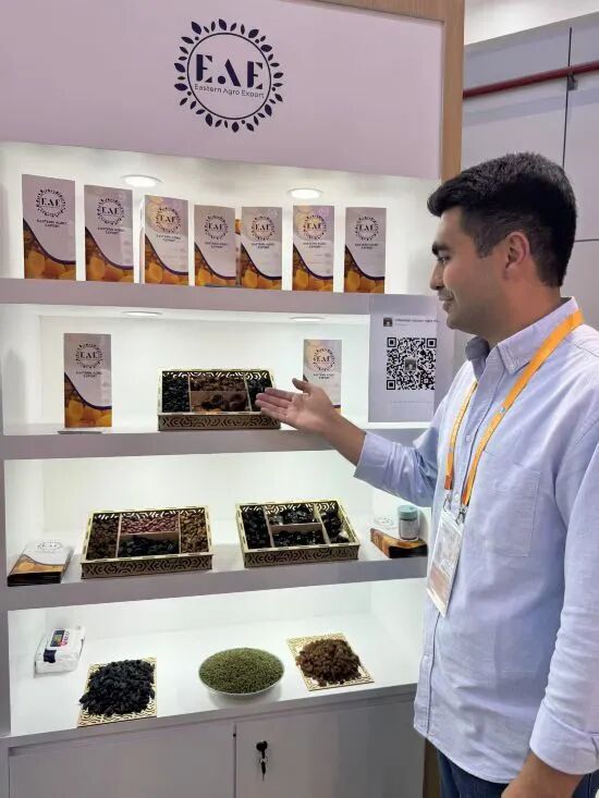 03181340jxan.jpg 1.jpg