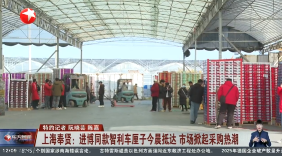 12155236sxxl.png 640 (1).png