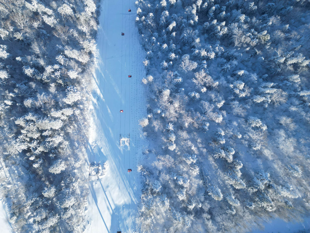 18105244nzu5.jpg d29e2cfcb05642909e5bbe1ae39b6118.jpg