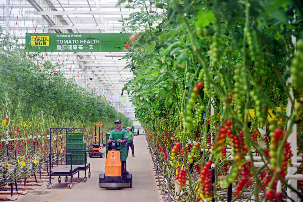 1810540020un.jpg b8d97f351a9e4b47832098ca622d9312.jpg