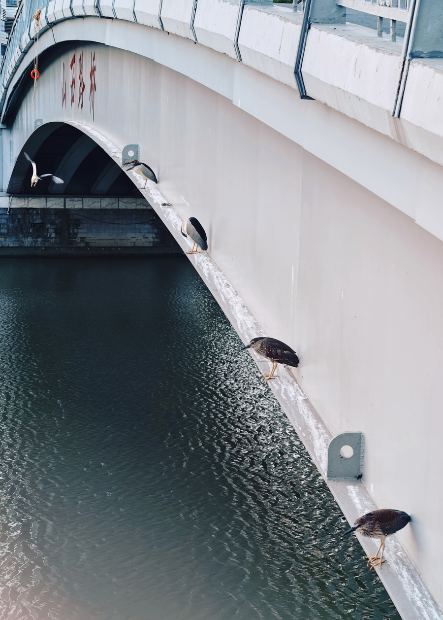 26112043um9h.jpg l_CB20251222155644664092.jpg