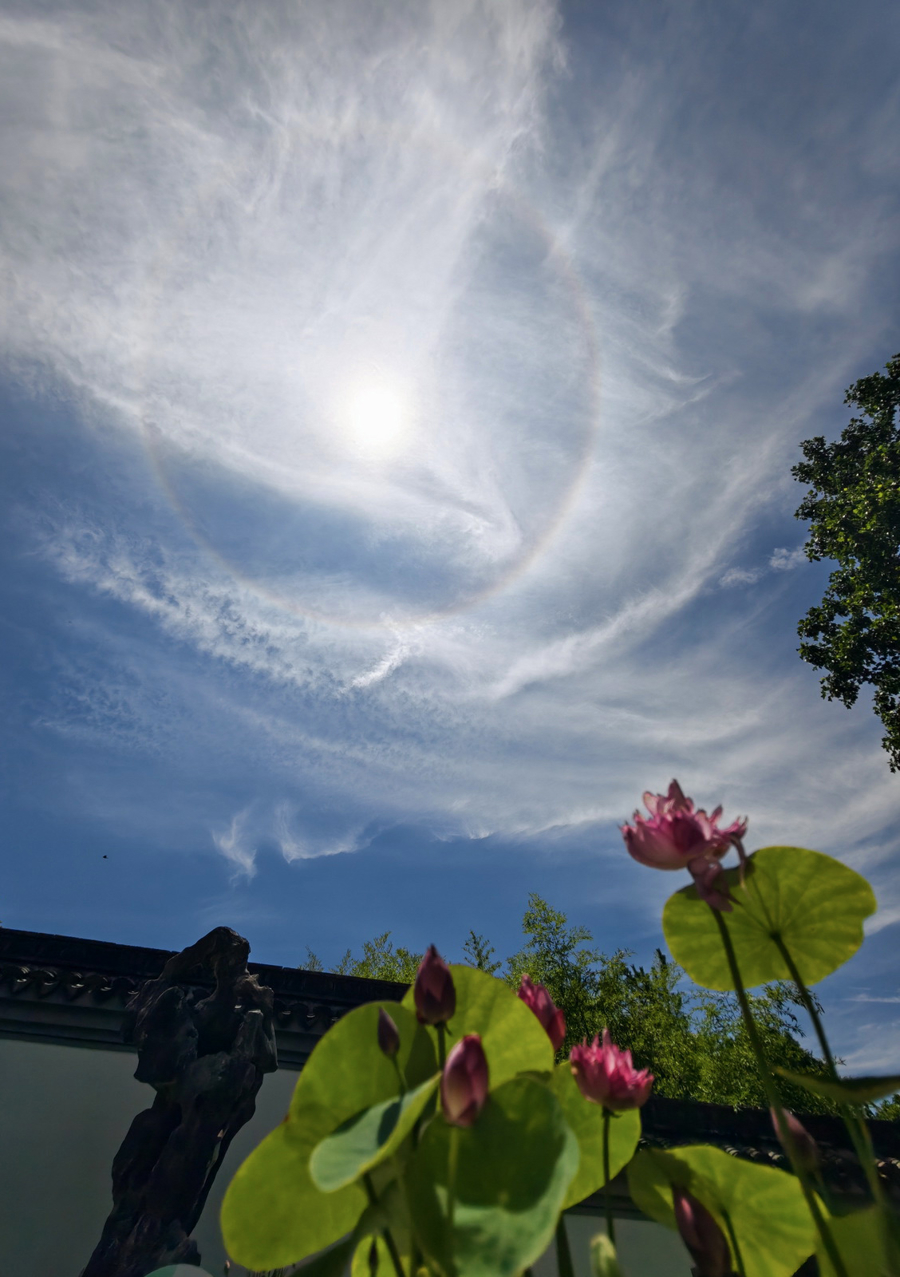 261121598cvv.jpg l_CB20251222161945089099.jpg