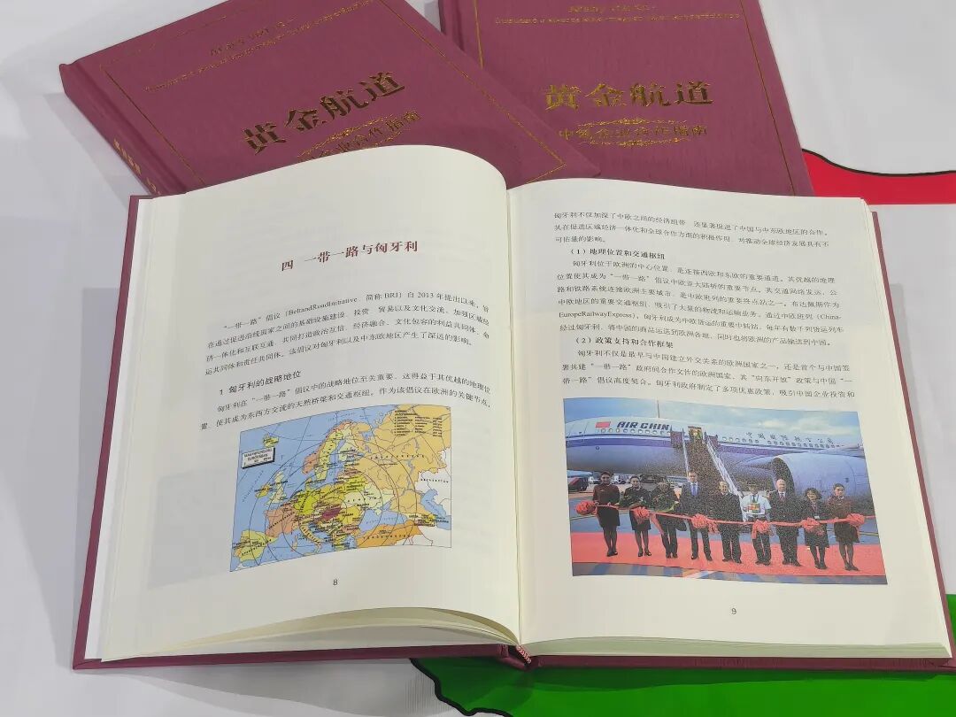 2917563419r0.jpg 7.jpg