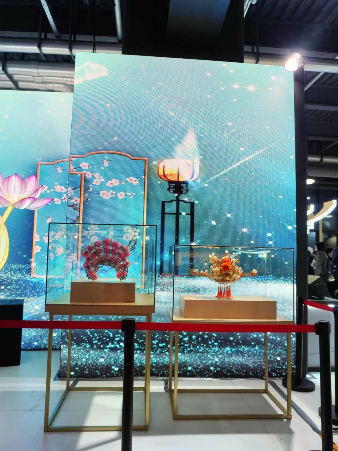 31153955pjwx.jpg 2.jpg