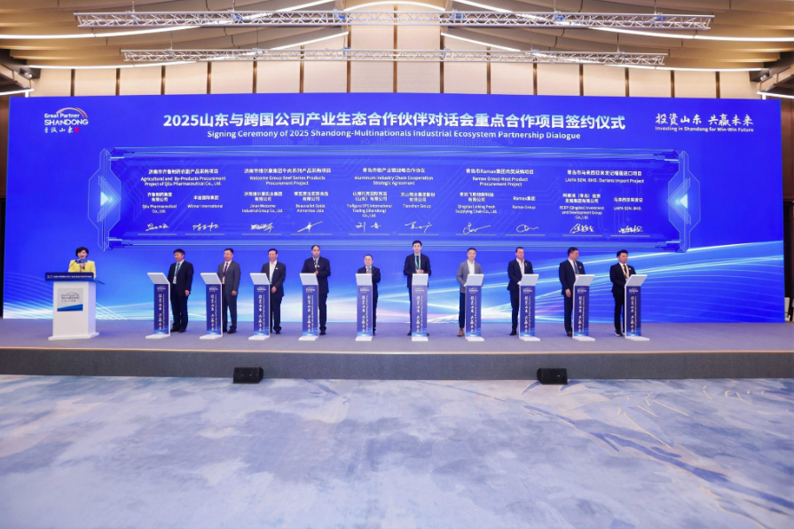 05174616mvd5.png 2.png