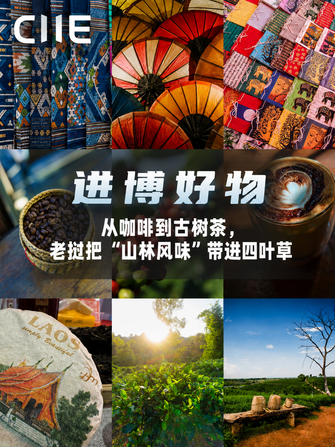 微信图片_2026-06-03_115835_138.png
