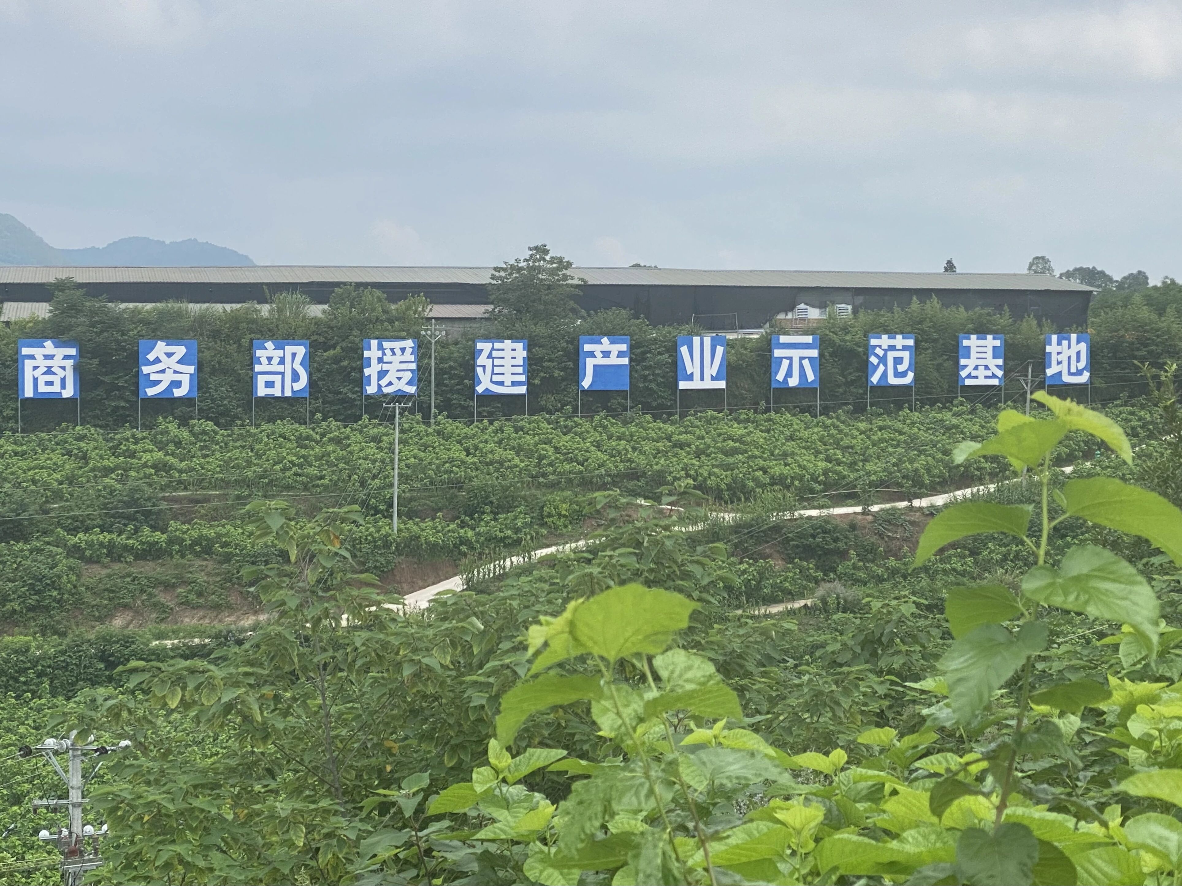 微信图片_2026-10-23_120108_703.jpg