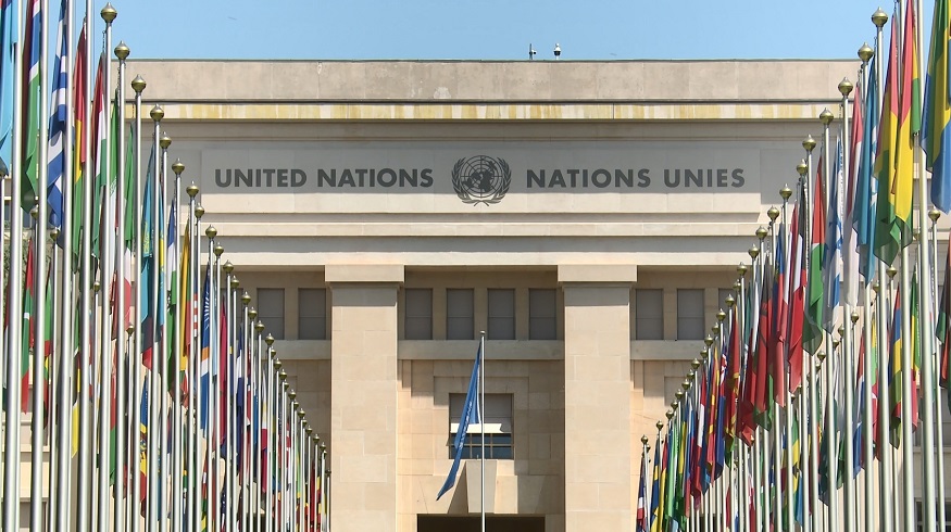 进博故事走进联合国：精油与羊驼玩具，讲述中国与世界的“双向奔赴”