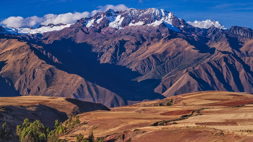 外商话进博丨爱高：进博会架起南美与中国的美味之桥