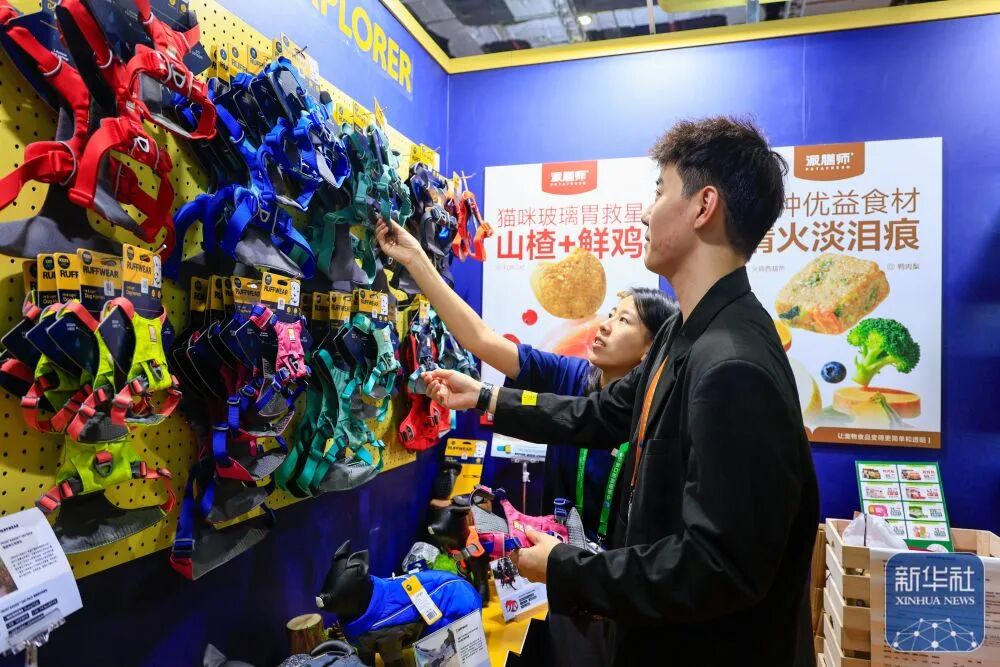 171608209dgp.jpg 14.jpg